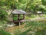 Changgdeokgung Palace - Le jardin secret 6