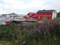 Norvège 2007-074
